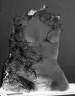 Torso Gallery